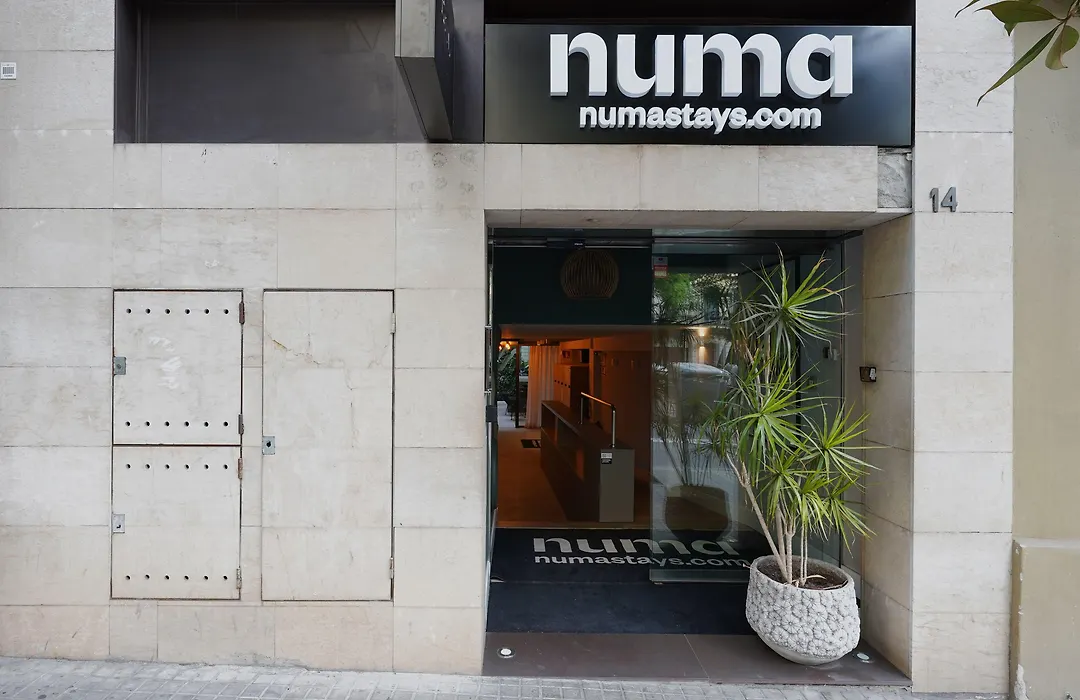 Numa Barcelona Brio-1